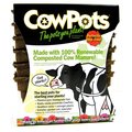 Summit Chemical Co 12Pk 3" Sq Cow Pot 00103